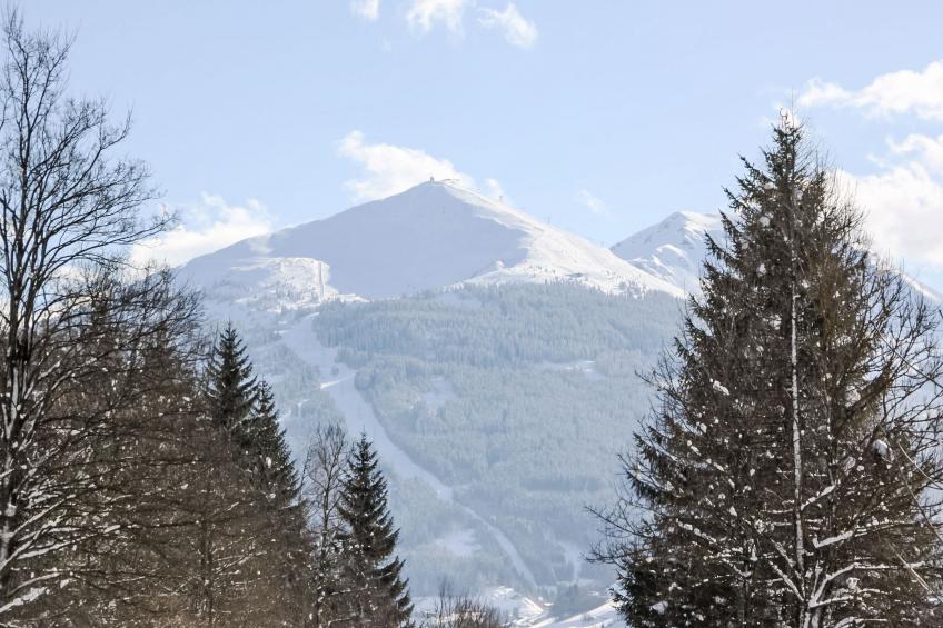 Pyrkerstrasse - foto 33