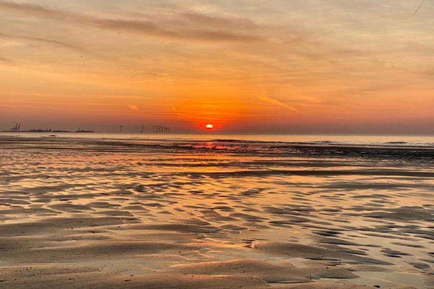 Residence Digue-22 - foto 35