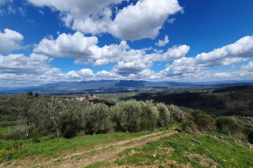 Il Solatio apt P1 - foto 25