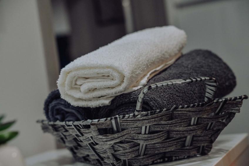 Apartment Pallaton - One  Bedroom Apartment with Balcony - foto 25