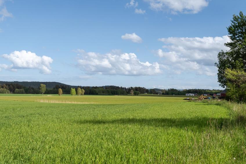 Harge Sörgård (NAK043) - foto 47