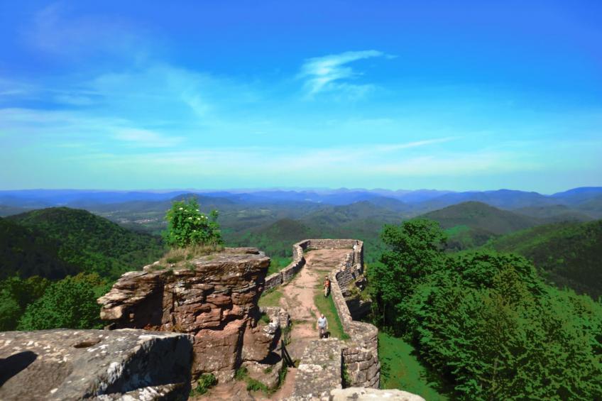 LES BRIMBELLES - foto 28