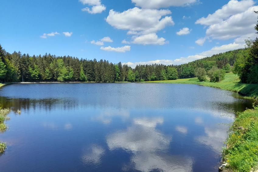 Ferienhaus Mühlberg (SPG101) - foto 24