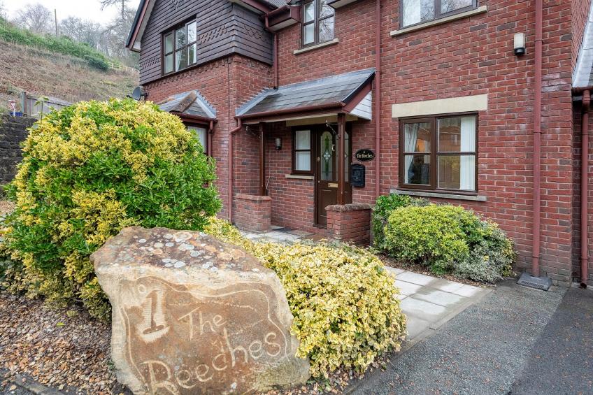 The Beeches - foto 43