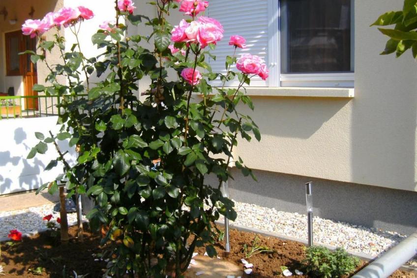 Klimatisiertes Ferienhaus in Bükfürdö mit Garten - foto 19