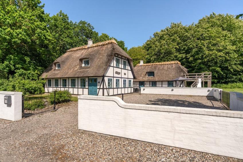 "Sirkku" - 320m from the sea in Funen - foto 30