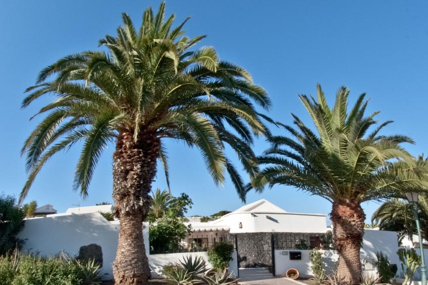 in Costa Teguise mit Privatem Pool - foto 5