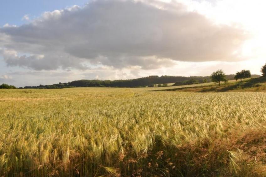 Hof Rodenkrog Fewo 2 - foto 27