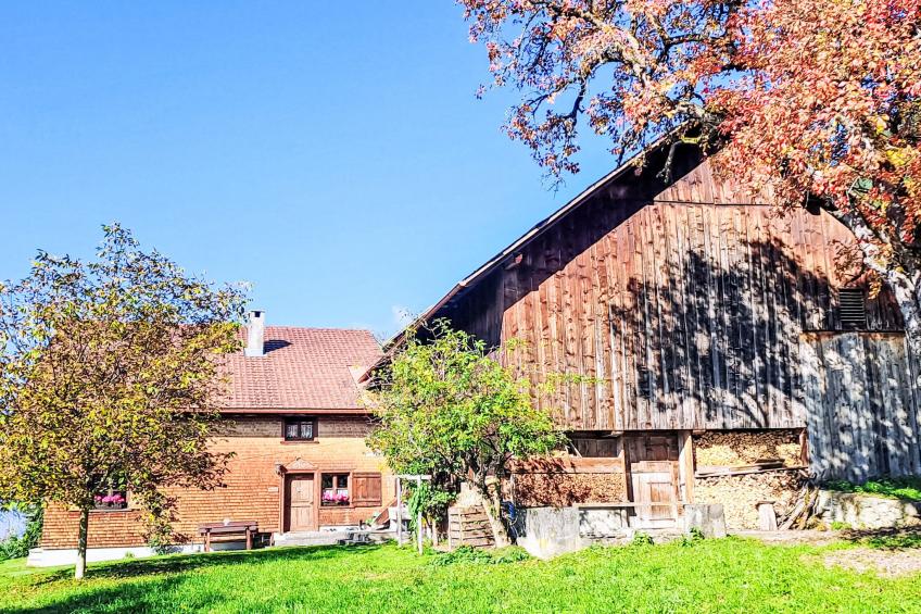Dünser in Dünserberg - foto 2