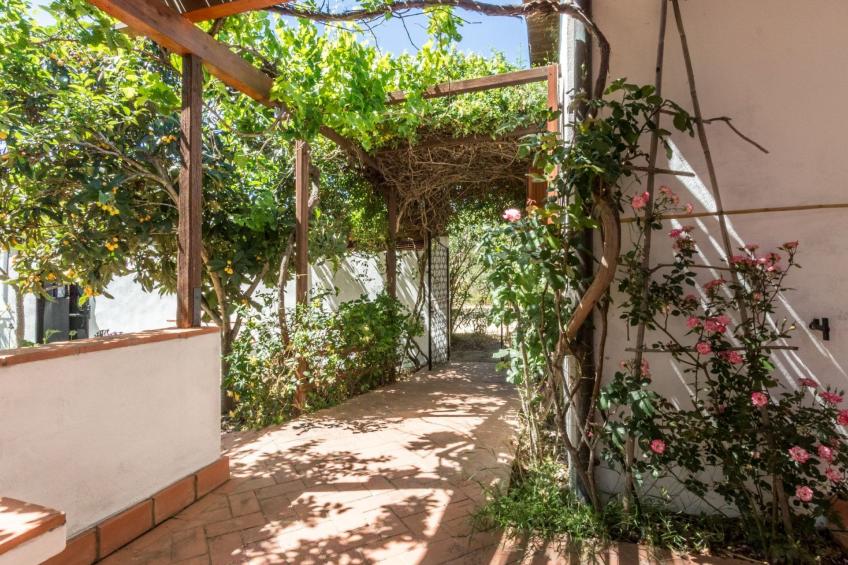 Natur, ökologische Nachhaltigkeit, nur für Erwachsene, Meer in der Nähe - foto 11