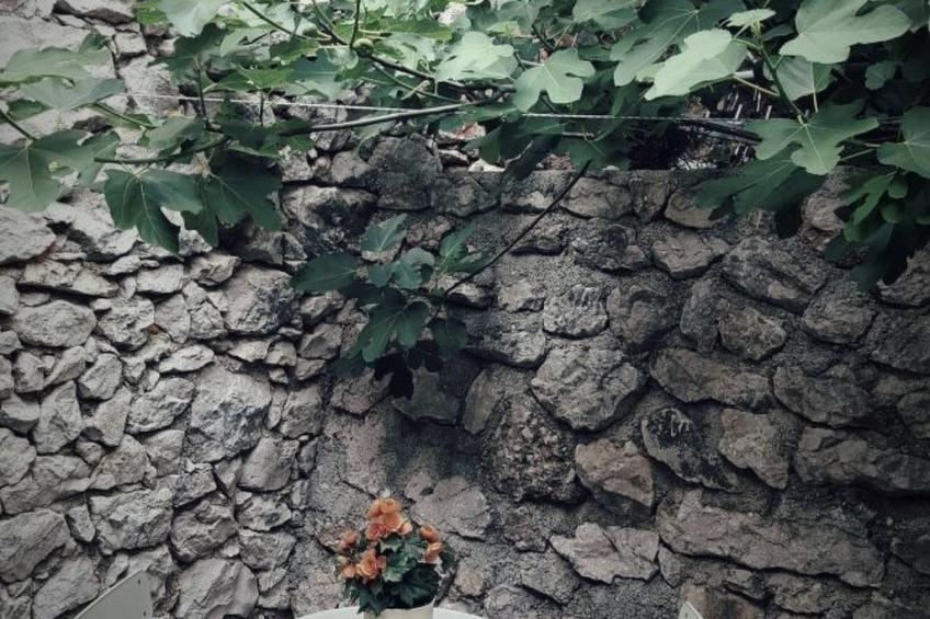 mit Blick auf das Wasser - foto 29