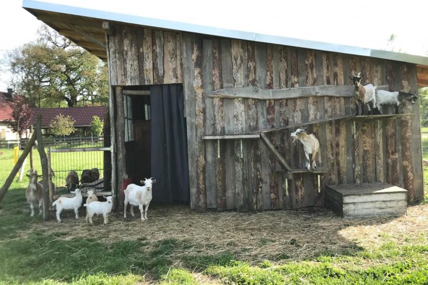 Zochiserlebnishof - foto 16