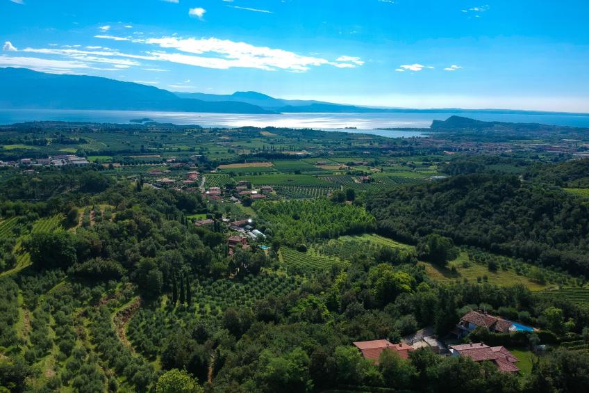 Holiday Sun - foto 19