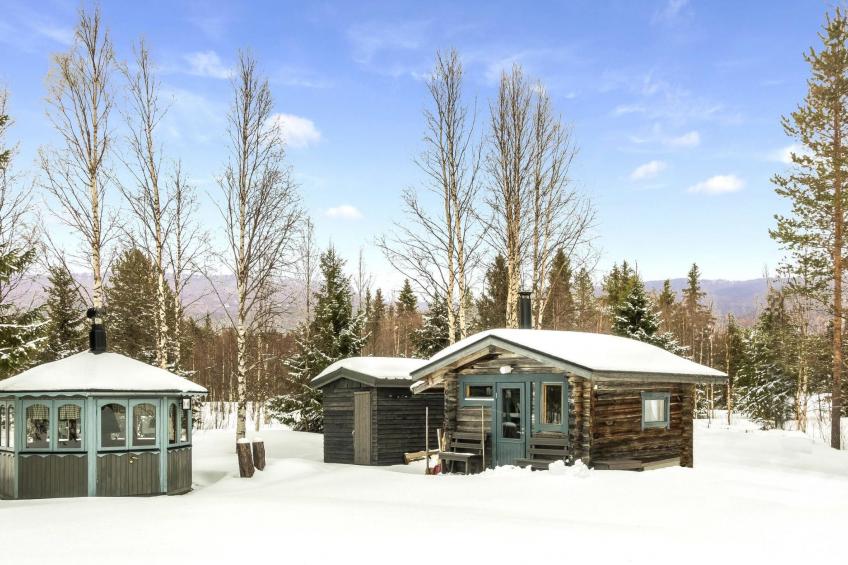 Pyrykieppi - foto 20