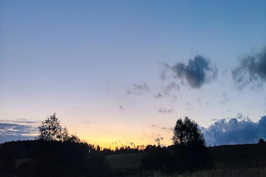 Feldblick 2 - foto 24