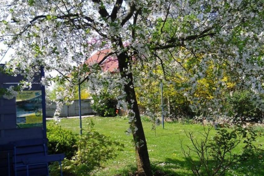 Blaues Haus - foto 13