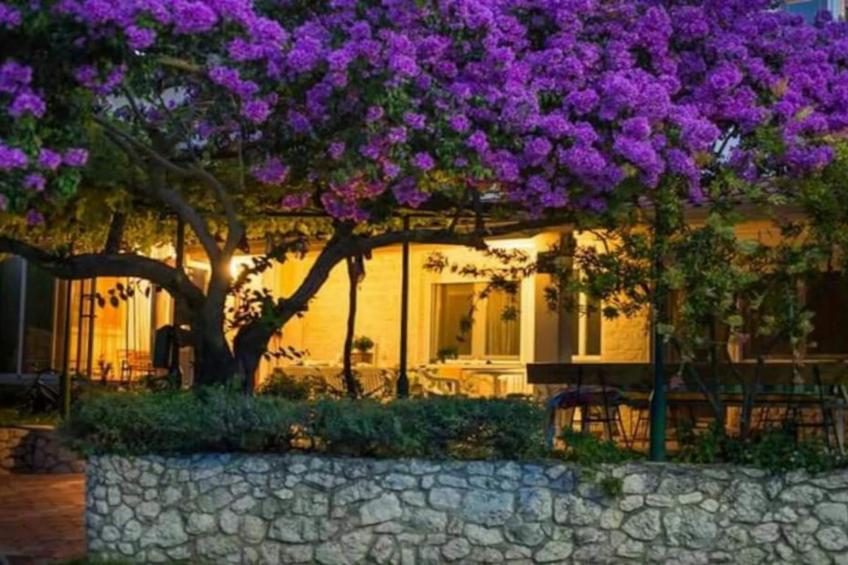 One-Bedroom Apartment With Lake View - foto 30