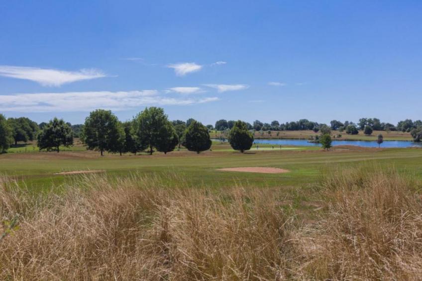 L'Aveneau - Vieille Vigne - foto 38