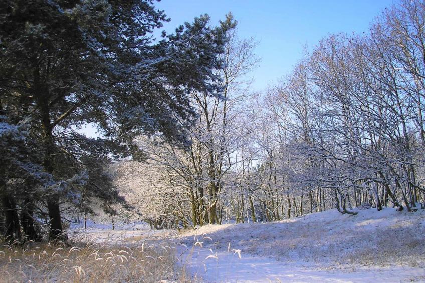 FH Godewind 60 - foto 48