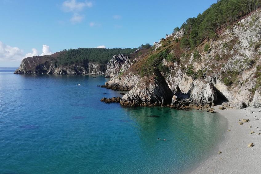 "Les Hortensias" (Die Hortensien) - foto 34