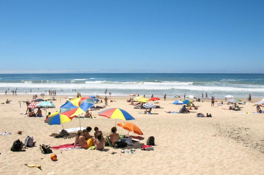 Vitorino Deluxe - foto 18