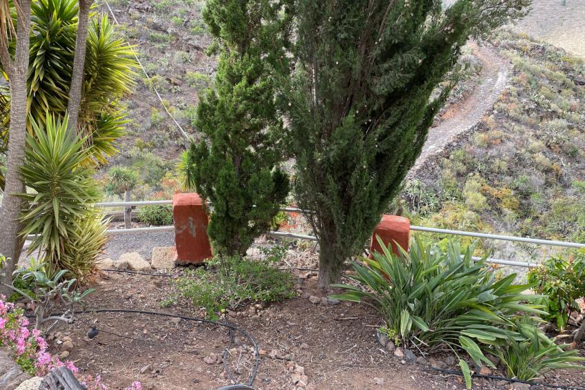 Casa Amarilla - foto 14