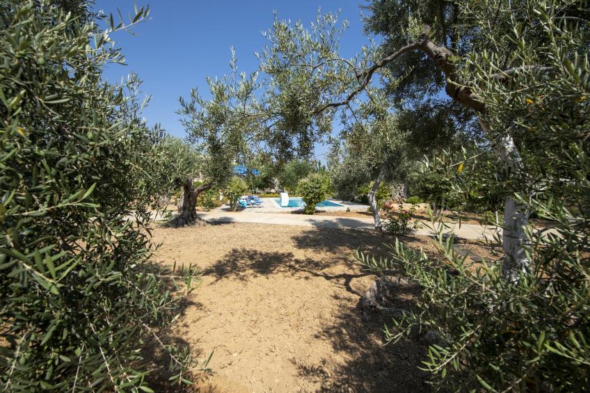 Villa Afroditi - foto 29