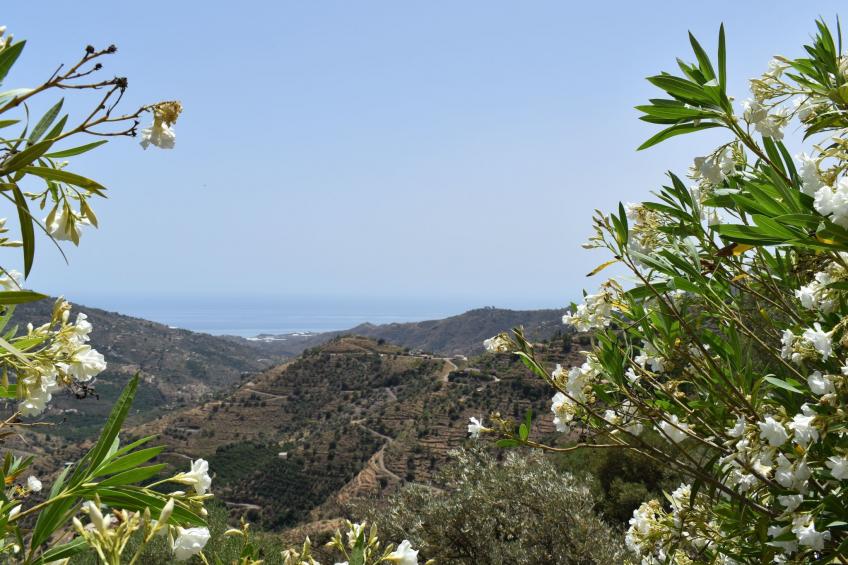 Finca Hornillo mit privatem Pool - foto 17