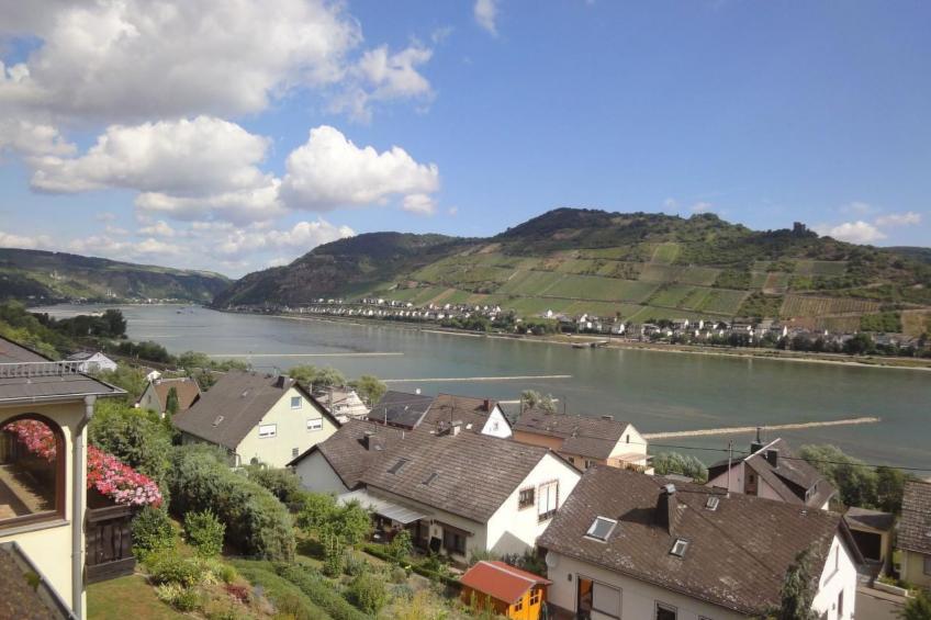 Rheinblick