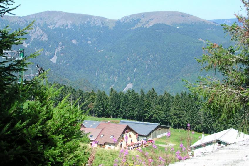 Zwischen Elsass und Vogesen, gite in einem schönen Chalet. - foto 13