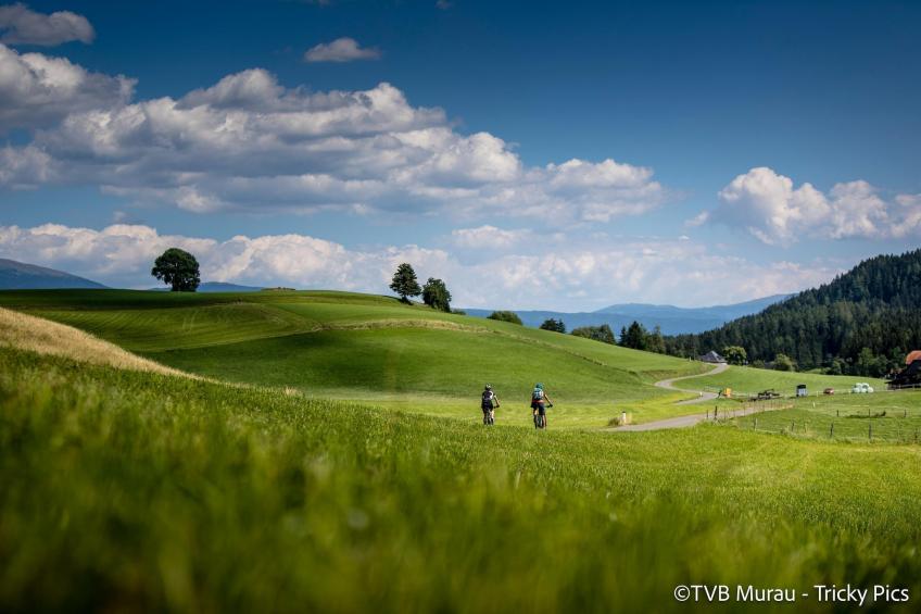 Alpenchalets Reiteralm 10 - foto 30