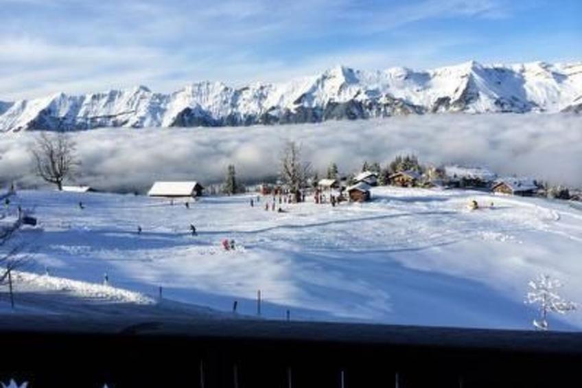 Gemütliche Ferienwohnung auf der Axalp - foto 4