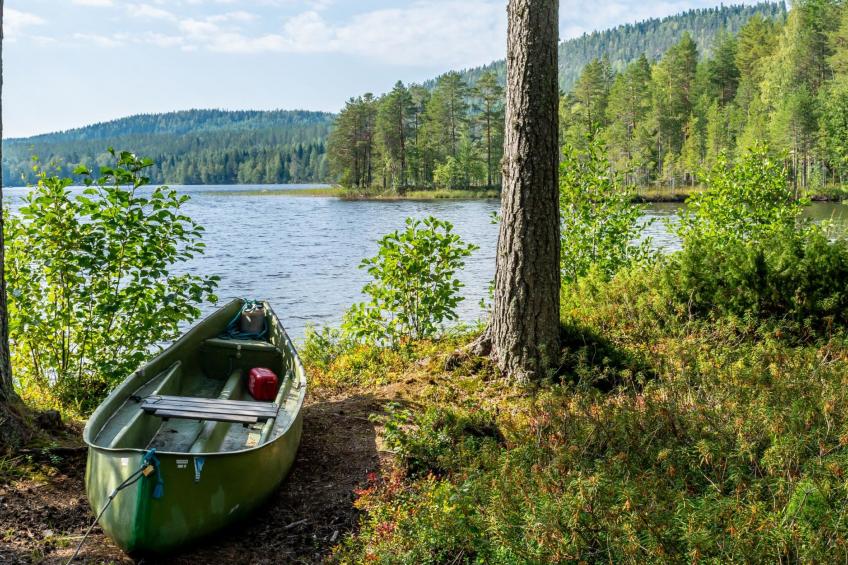 Koli, hiisiranta b3 - foto 21