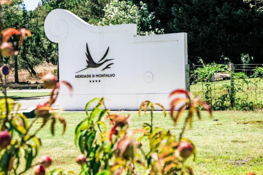 Herdade de Montalvo - foto 20