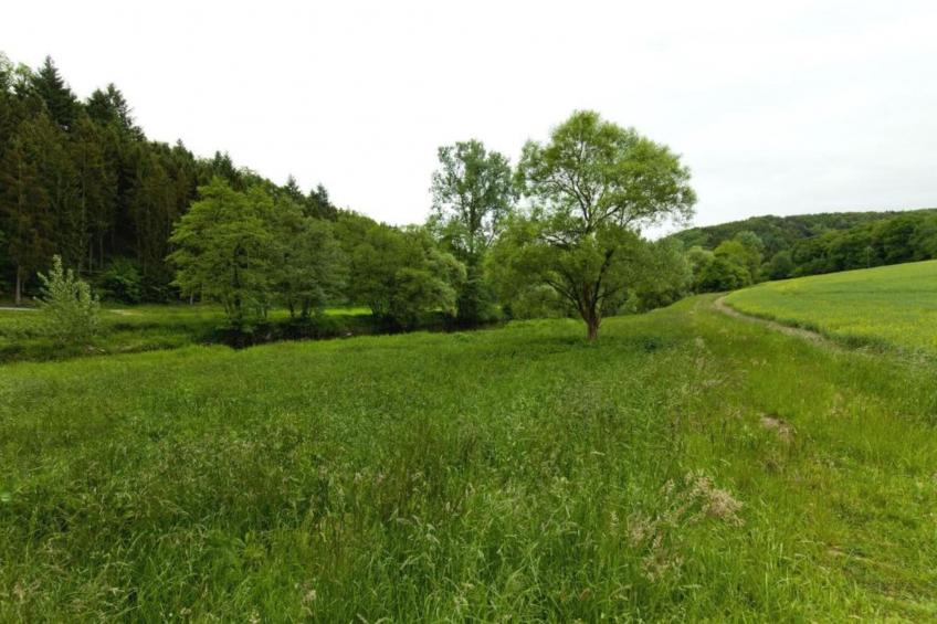 Ferienwohnung Bluzi im Westerwald - foto 28
