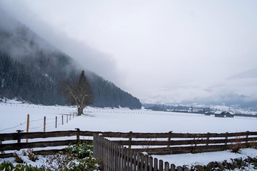 Apartment 5 mit Balkon /Hollersbach - foto 21