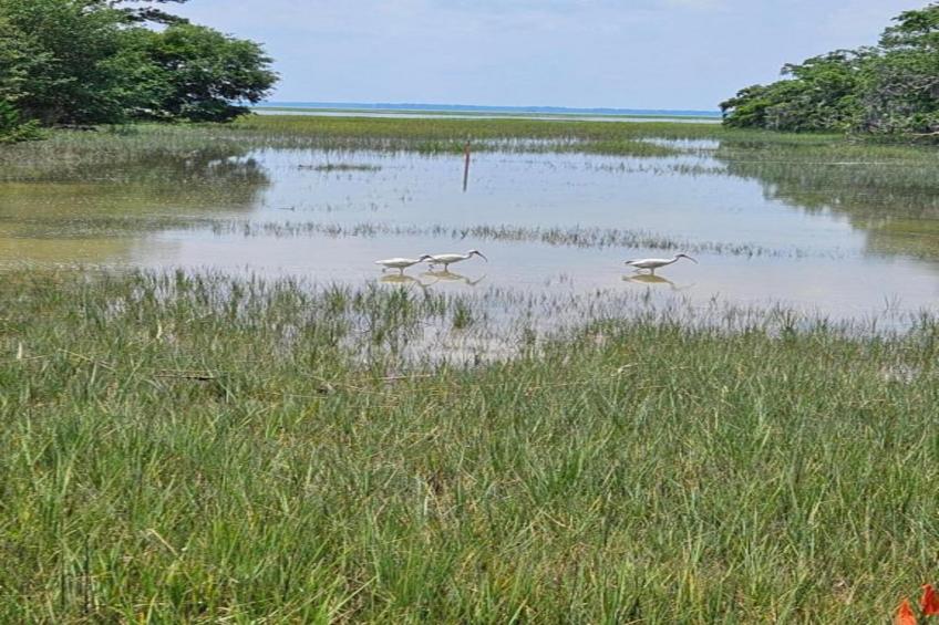 Résidence La Clé des Cimes 4 - foto 33
