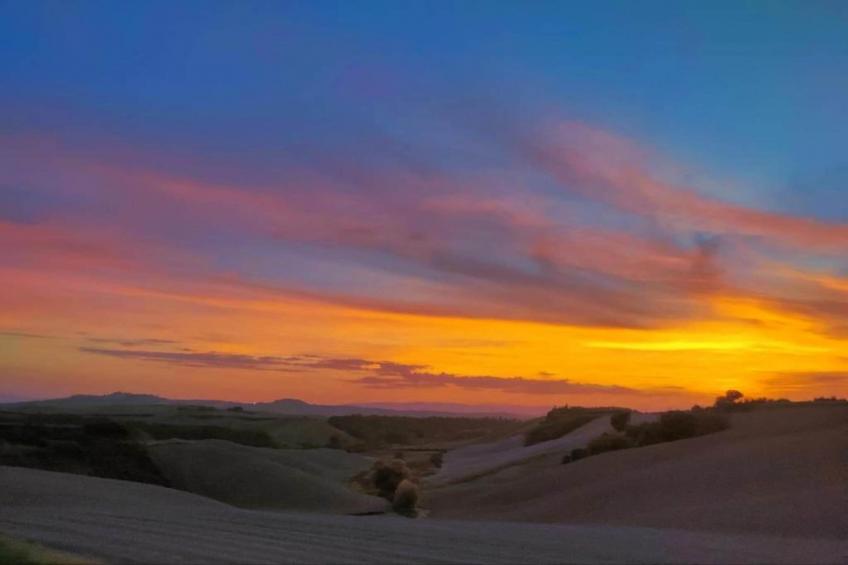 Stalla Verde - foto 31