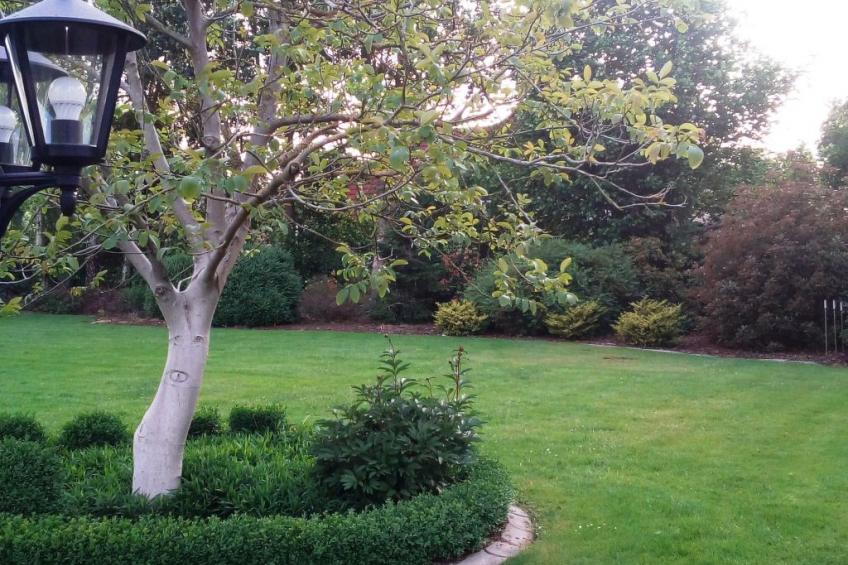 Fewo Schlingshöhe - foto 9