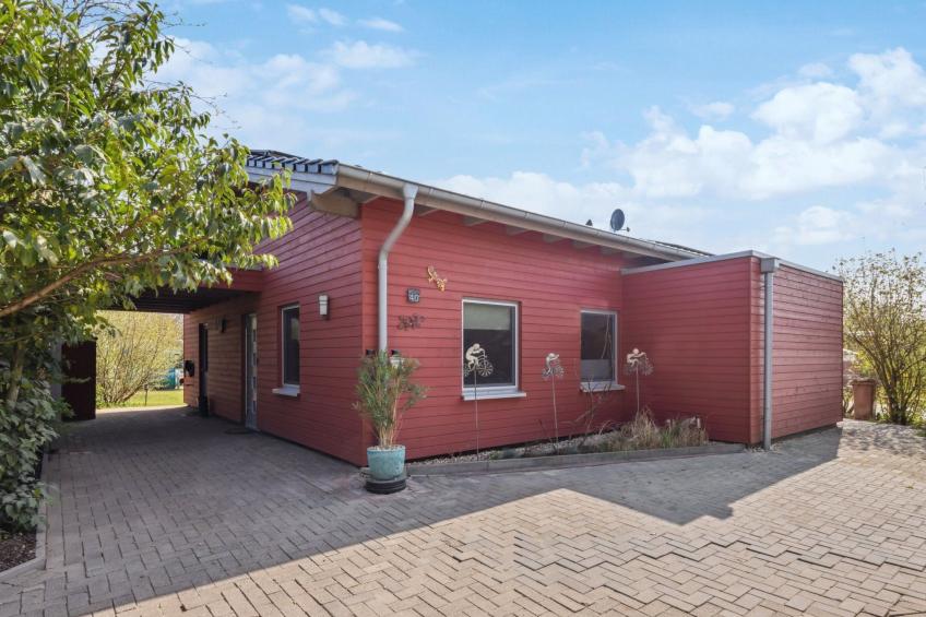 Pinto Rosso - foto 25