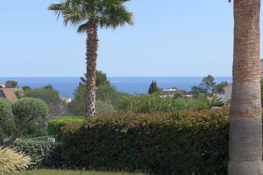 La Petite Afrique - foto 28