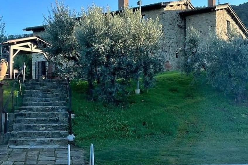 ein Haus in der Olivenhaine - casa buriano GIULIA - foto 39