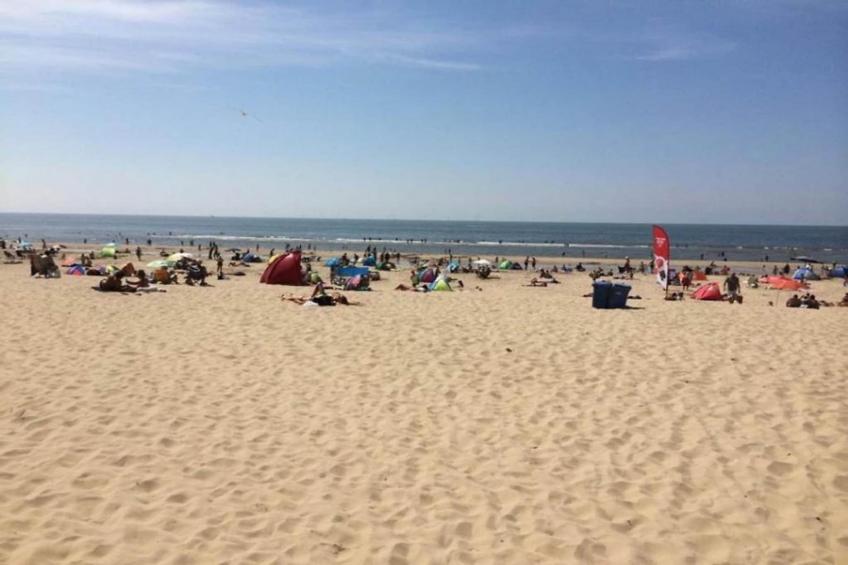 Parel aan de Duinen 8p - foto 40