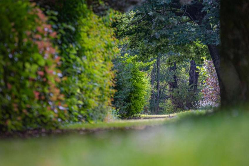 Arcades N°39 - ST4 - foto 15