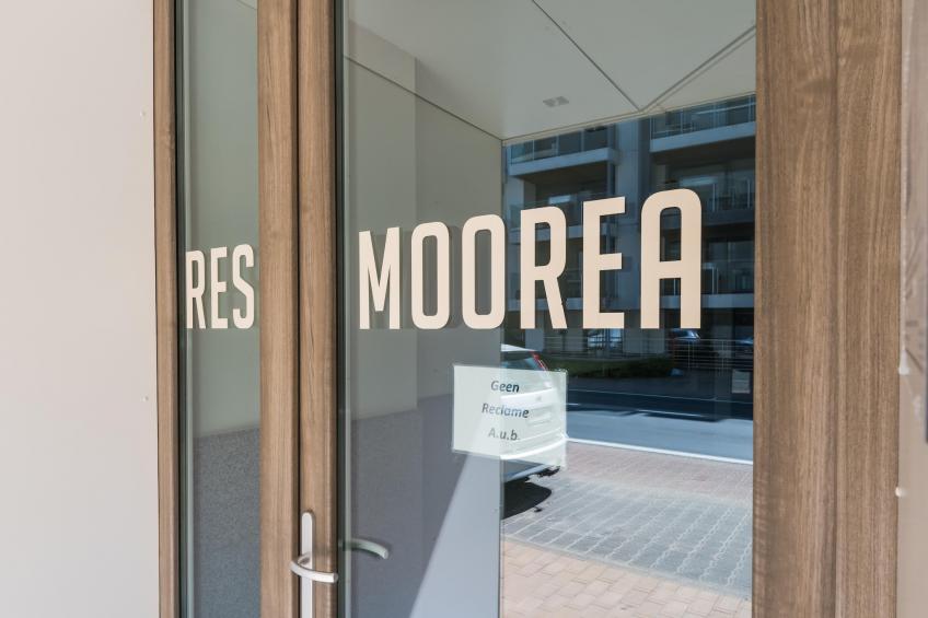 MOOREA / 0101 - foto 6