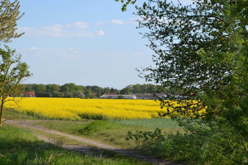 Großzügige Ferienwohnung mit Terrasse - foto 21