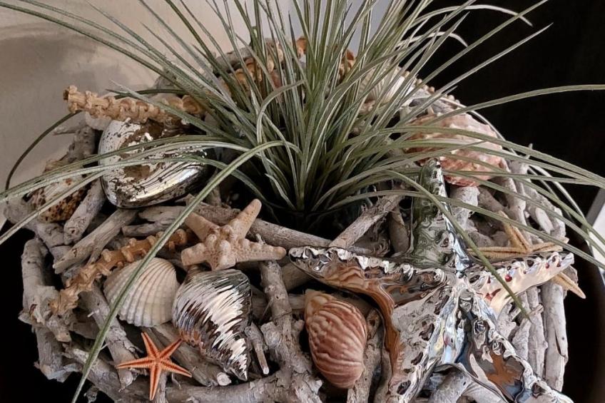 Nichtraucherferienwohnung mit Fahrradnutzung - foto 15