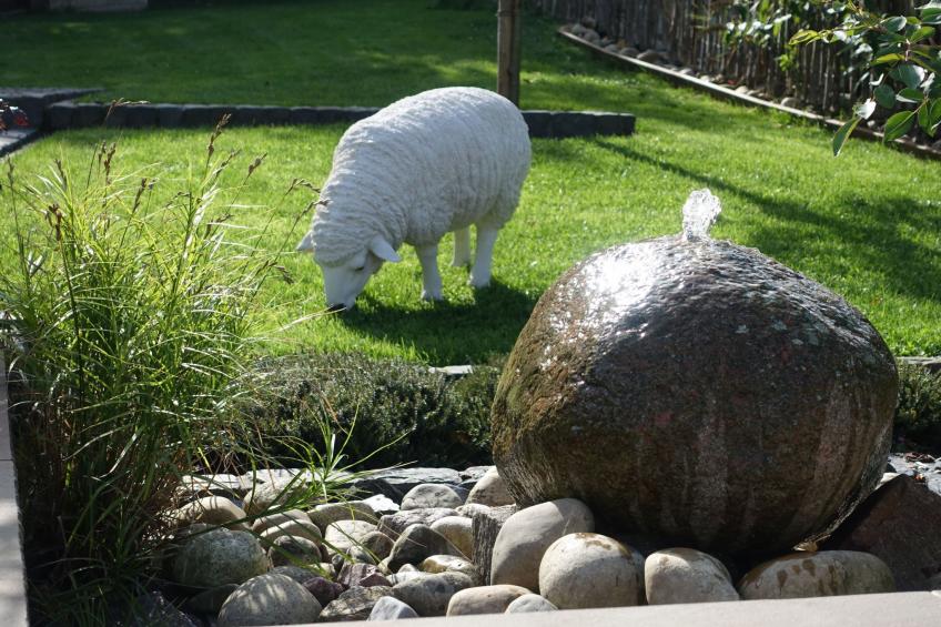 EifeLeben mit wunderschönem Garten - foto 4