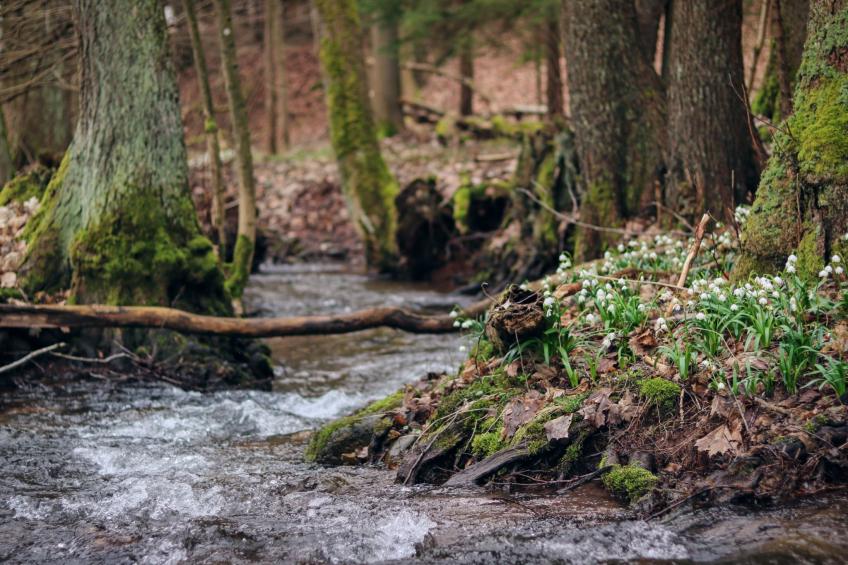 Švýcarka - foto 40