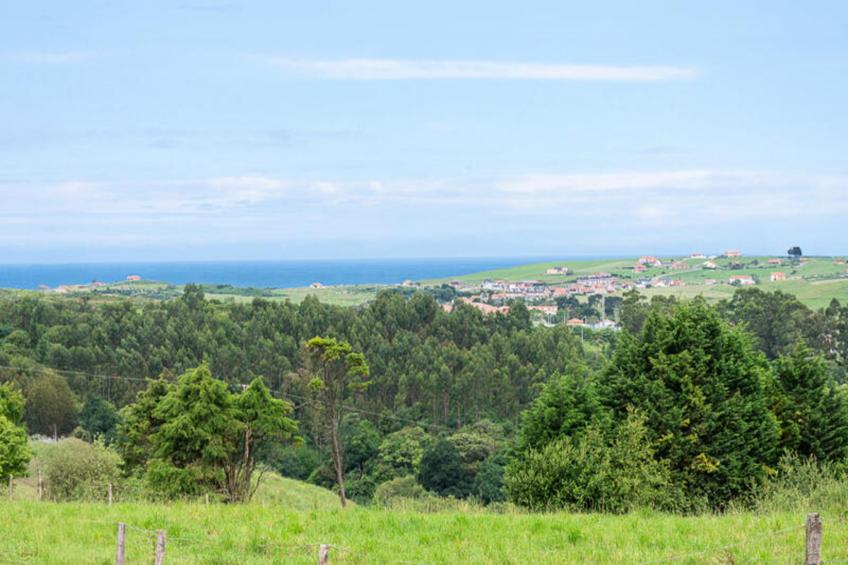 Appartements à Miengo - foto 21